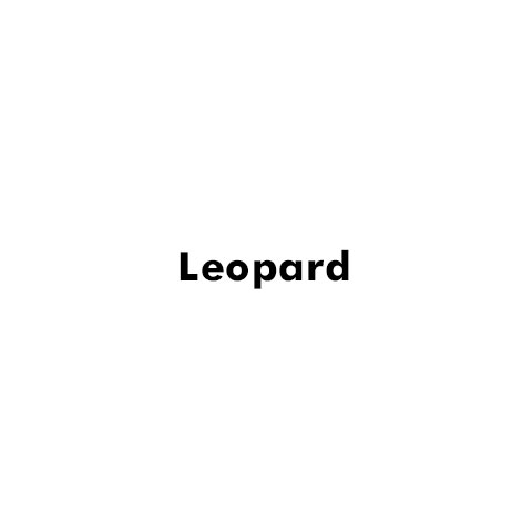 Leopard
